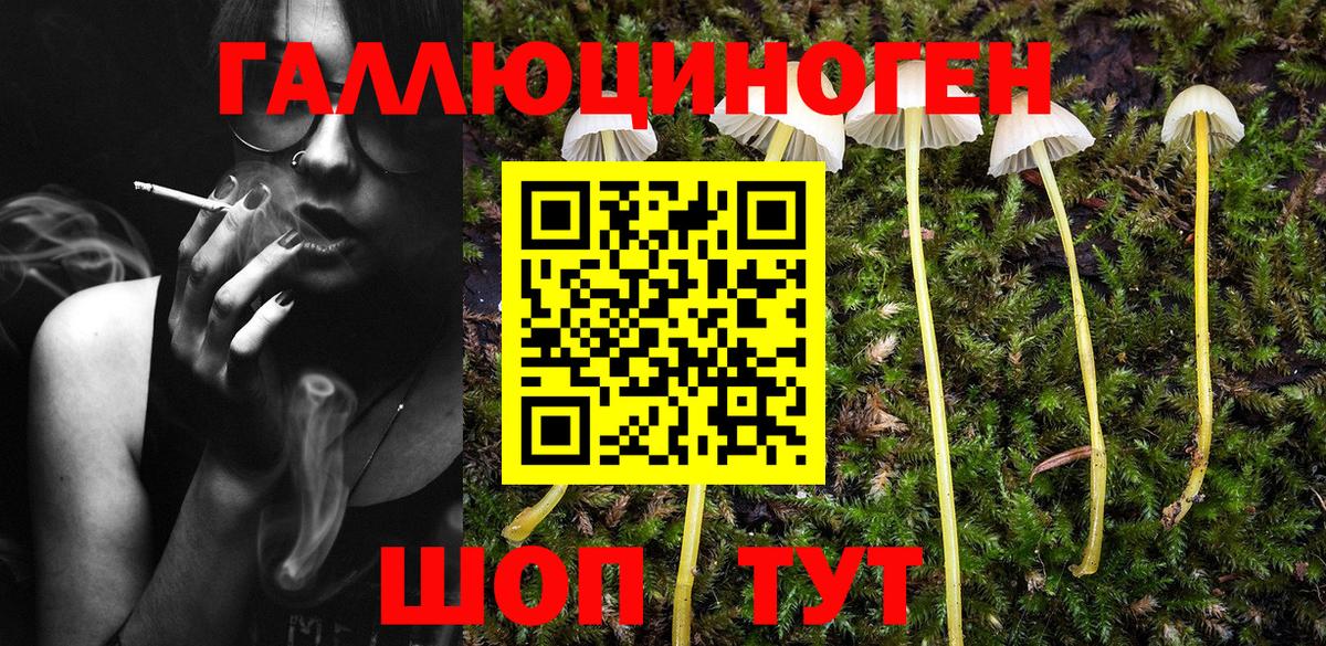 Галлюциногенные грибы Magic Shrooms  где можно купить наркотик  Галлюциногенные грибы Cubensis  Ижевск 