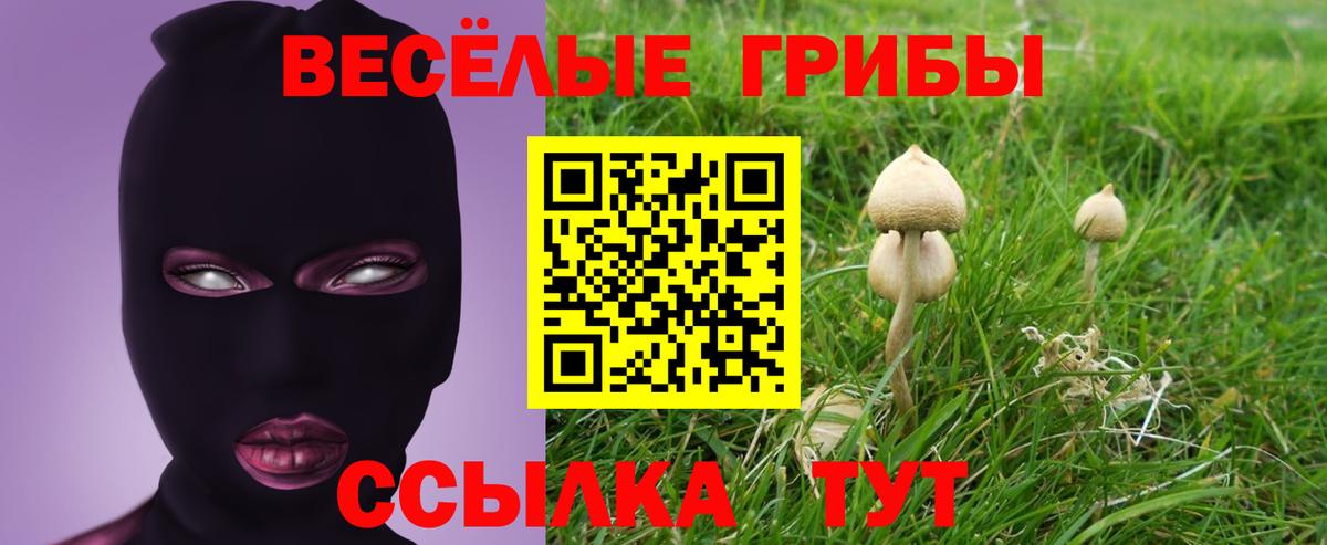 Галлюциногенные грибы Magic Shrooms Ижевск