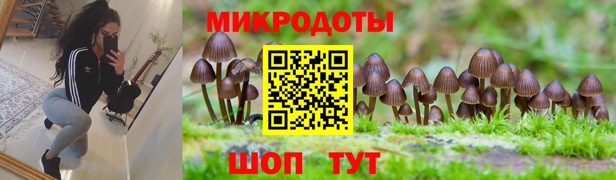 Галлюциногенные грибы GOLDEN TEACHER  Галлюциногенные грибы мицелий  Ижевск  Вход с VPN 